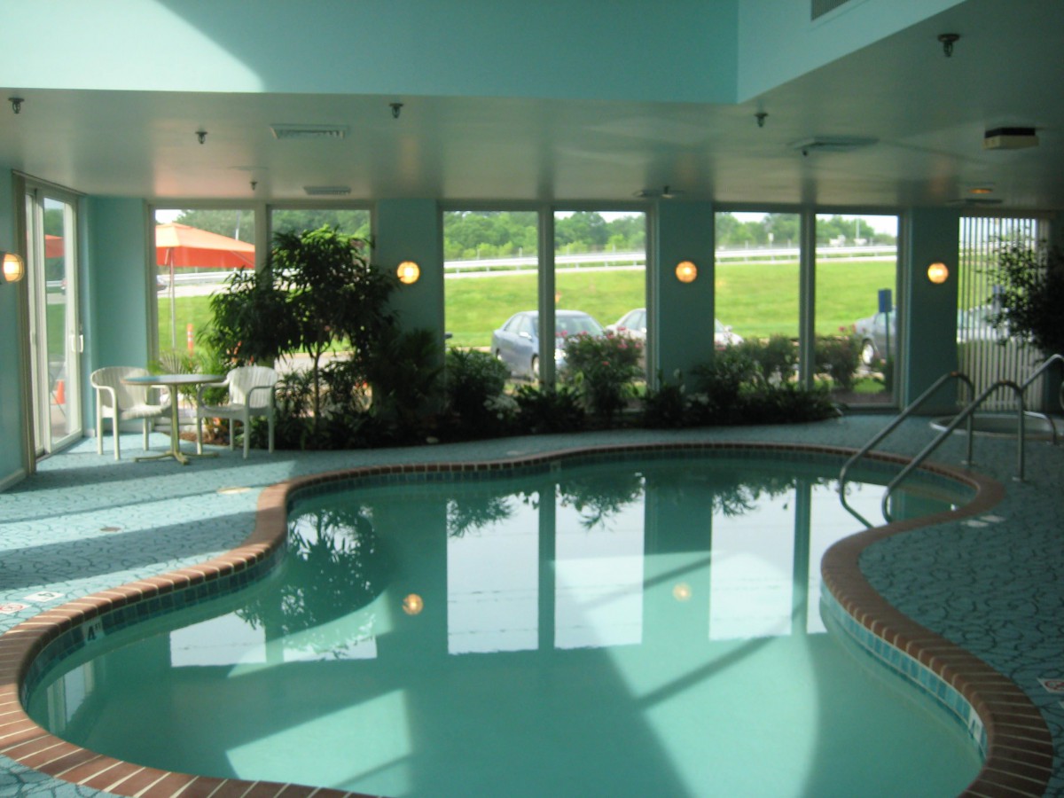 An indoor swimming pool with large windows and surrounding greenery, offering a relaxing atmosphere.