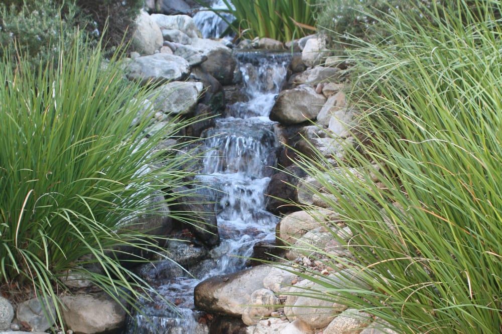 Wildwood Canyon Villa