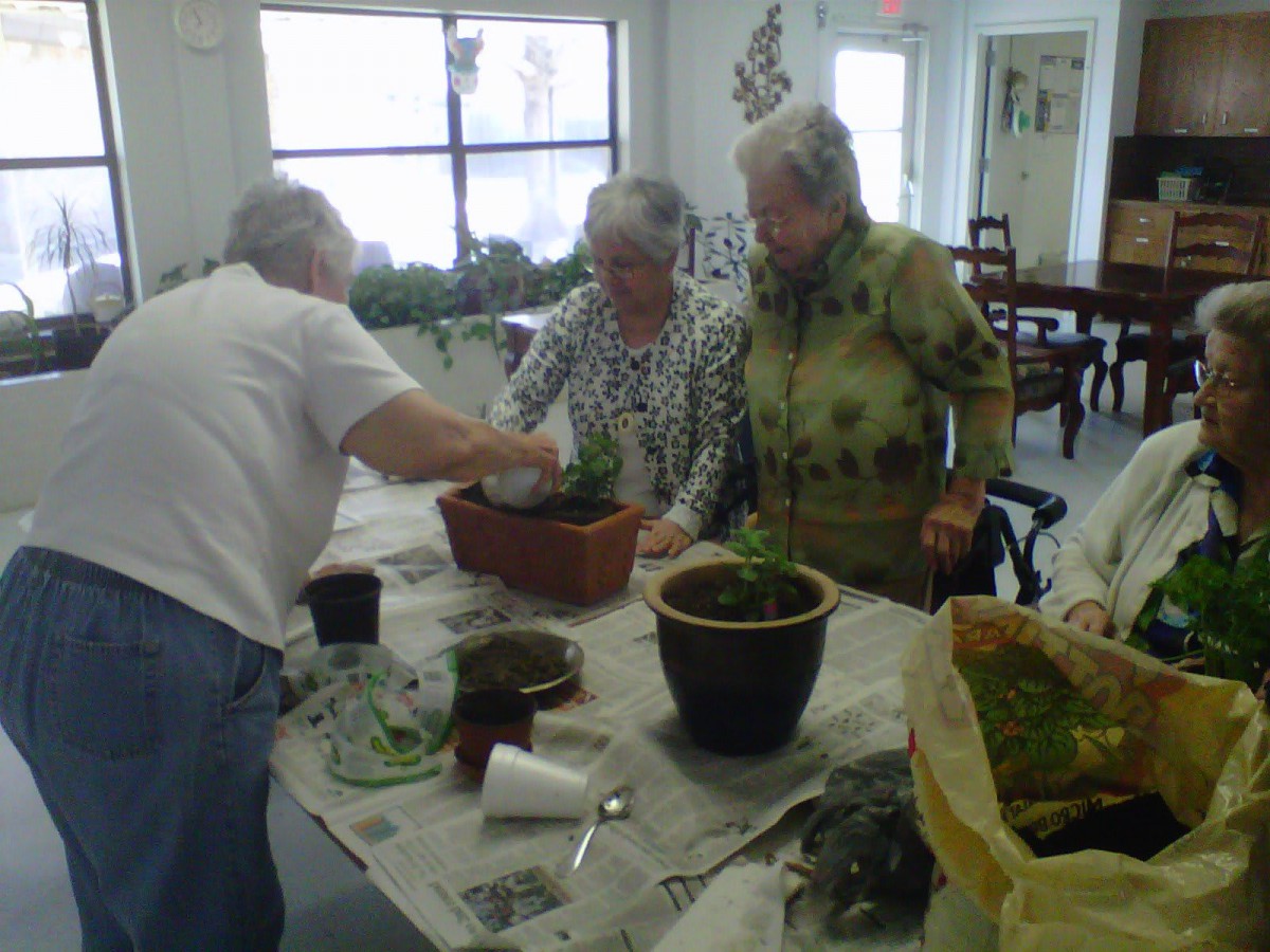 A group of seniors engaging in a gardening activity indoors.