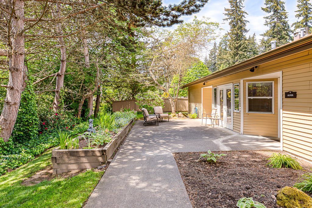 A serene backyard patio surrounded by lush greenery and garden plants.