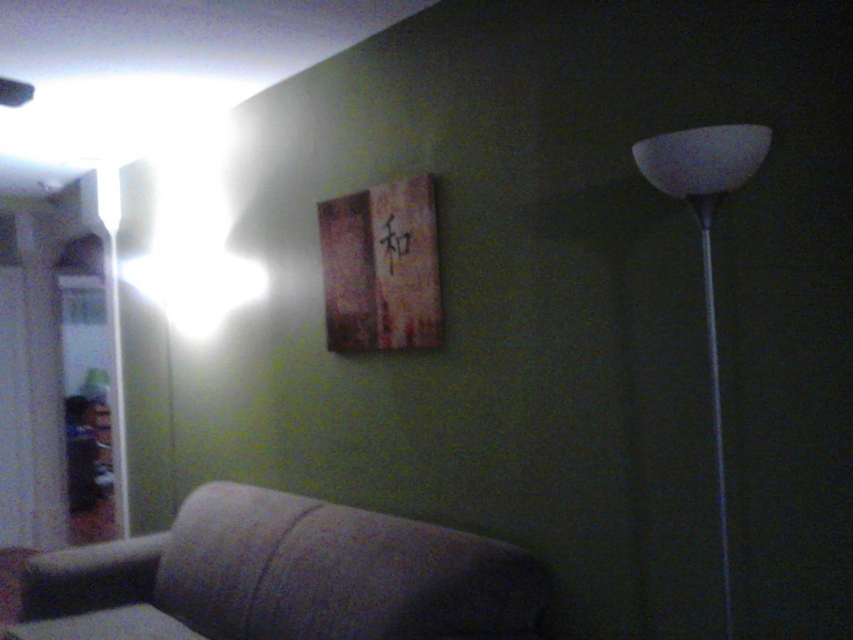 A cozy living room with a sofa against a green wall, featuring a floor lamp and wall art.