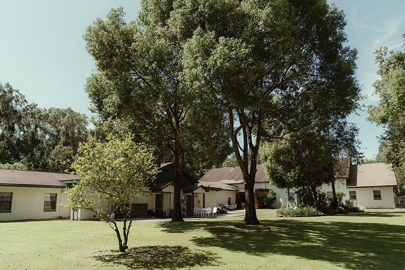 A peaceful residential scene featuring a house surrounded by lush trees and a well-kept lawn.