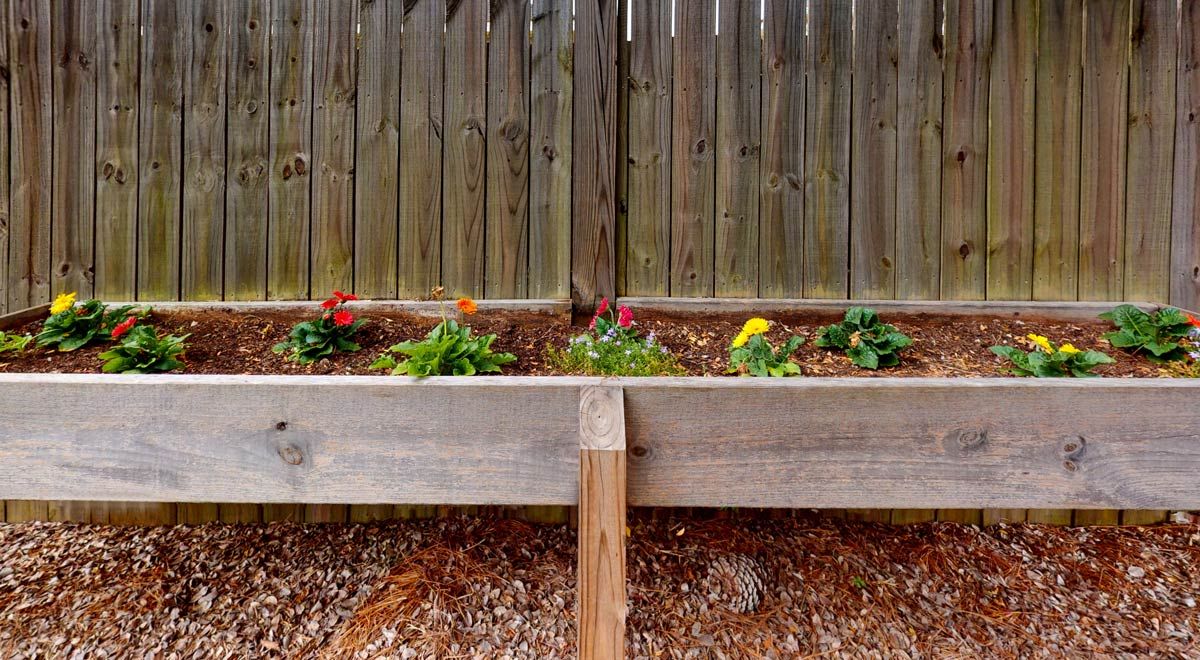 A raised garden bed with colorful flowers planted, set against a wooden fence.