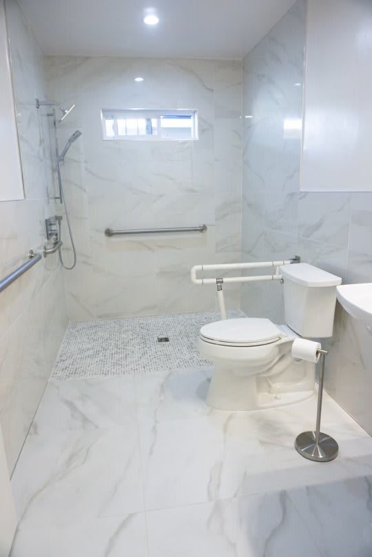 An accessible bathroom with a walk-in shower and support bars.