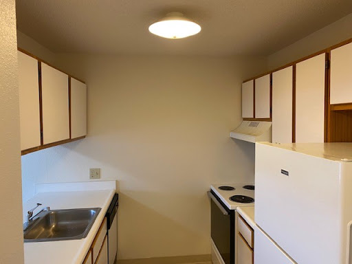 A modern kitchen featuring white cabinets and basic appliances.