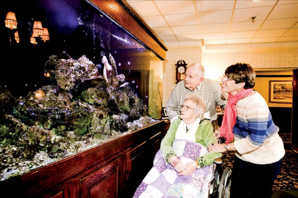 Regency Park Post-Acute Rehabilitation and Nursing Center
