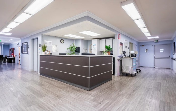 A modern reception desk in a bright office space with plants and decorations.