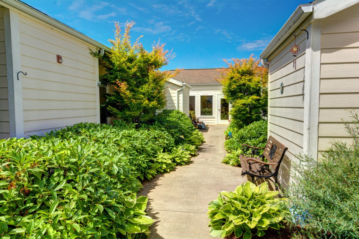 A serene garden pathway lined with lush plants and a wooden bench under a clear blue sky.