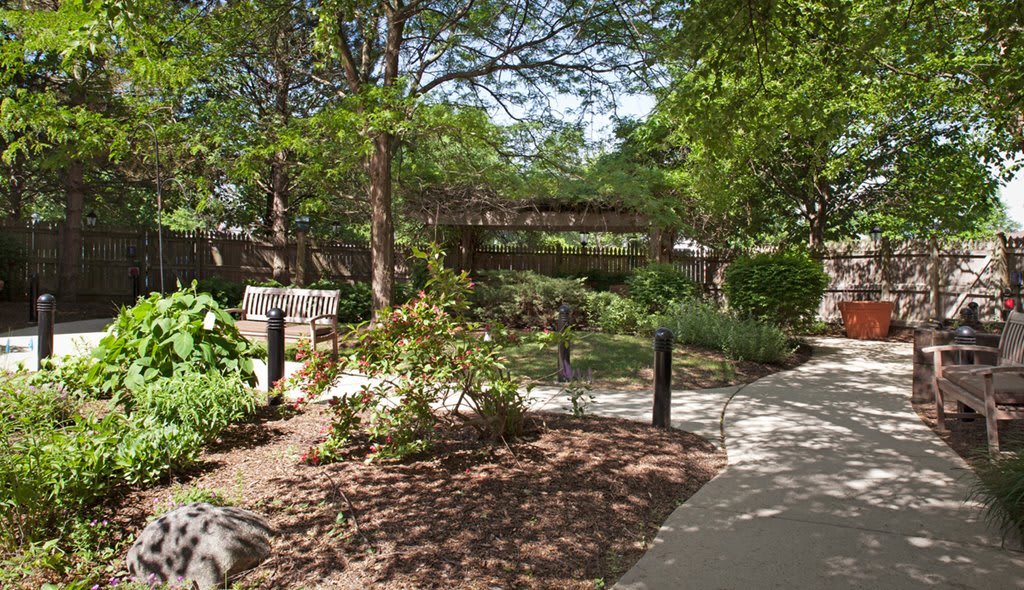 A serene garden scene with lush trees and a winding pathway.
