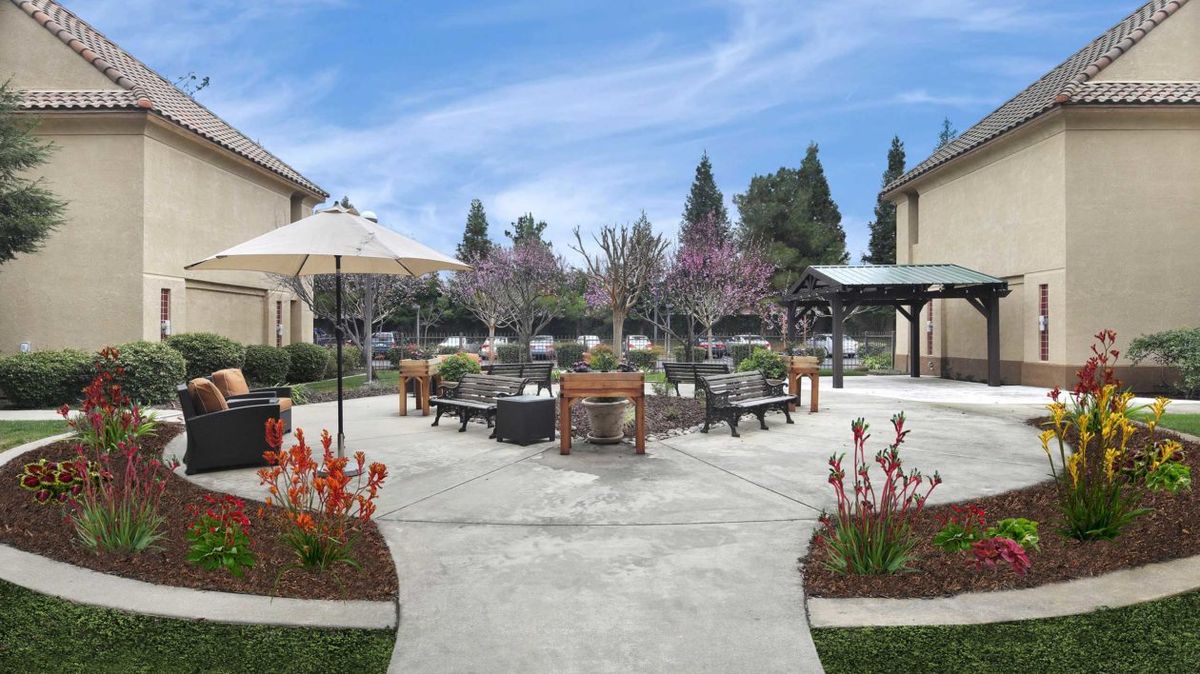 A landscaped outdoor patio area with furniture and umbrellas, surrounded by trees and adjacent buildings.