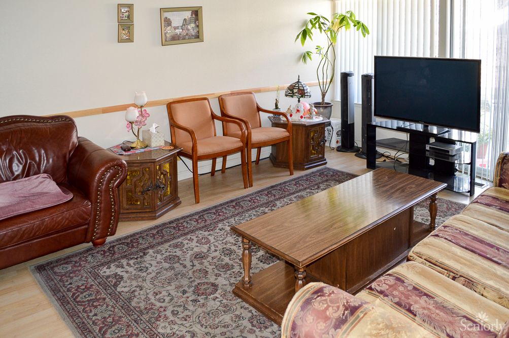A cozy living room with a sofa, chairs, and a coffee table arranged around a TV and indoor plant.