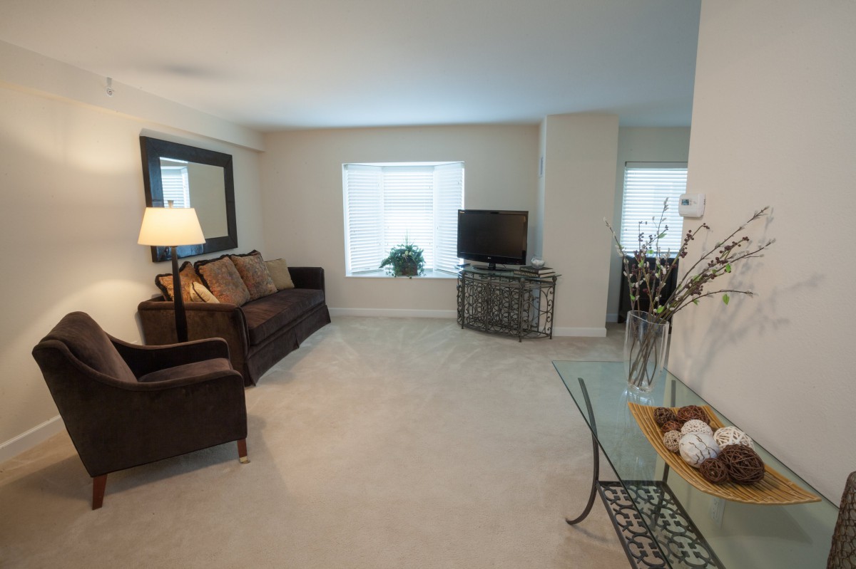 A cozy living room with a sofa, TV, and natural light from the window.