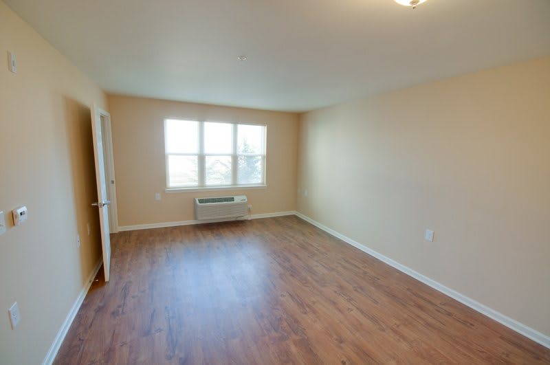 A vacant room with wooden flooring and ample natural light from a large window.