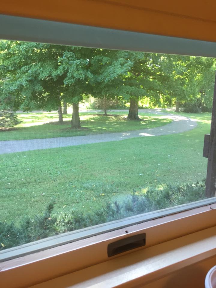 A view of a green landscape with trees and a pathway seen through a window.