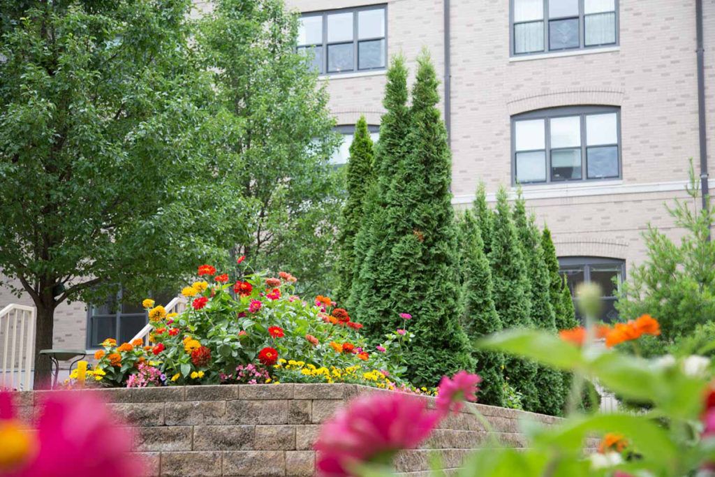 A well-maintained garden with colorful flowers and lush greenery in front of a building.