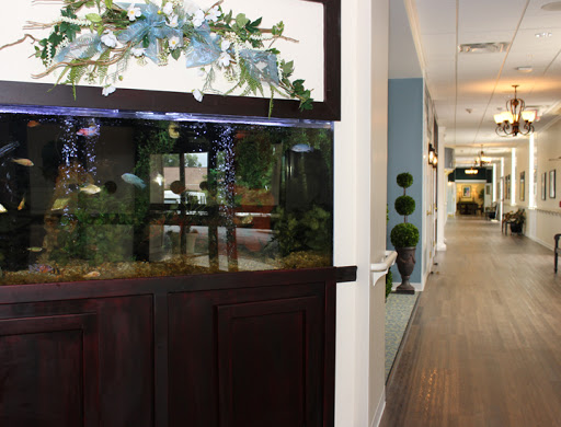 A stylish aquarium integrated into an office interior, adding a touch of nature to the workspace.