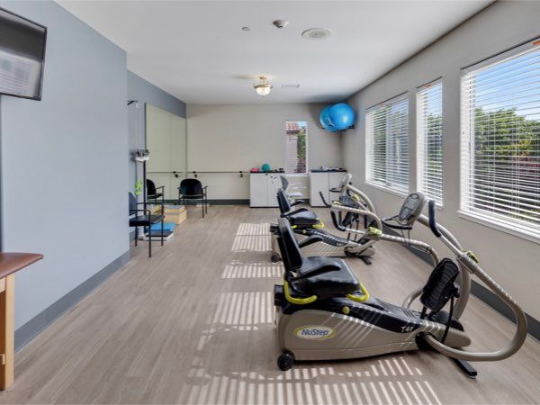 A modern gym featuring various exercise machines with ample natural lighting.