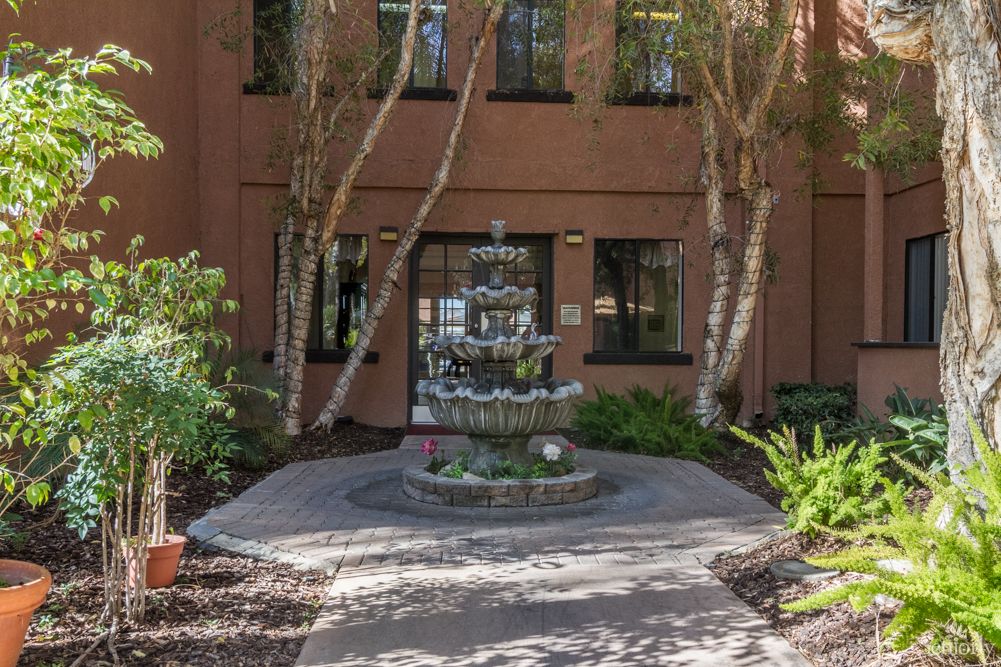 A decorative fountain at the entrance of a building, surrounded by plants and trees.