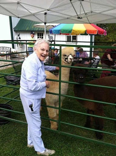 An elderly woman joyfully interacts with an alpaca at a farm.