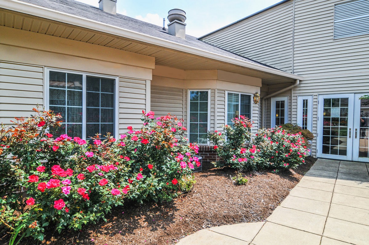 A well-maintained house exterior with blooming rose bushes in the garden.