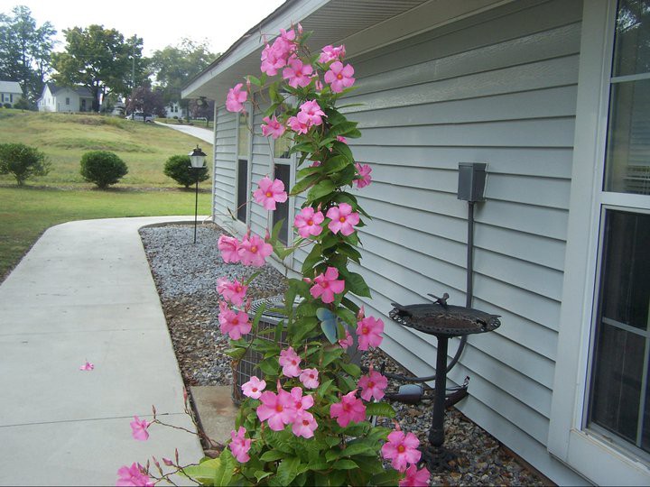 Bayberry Retirement Inn
