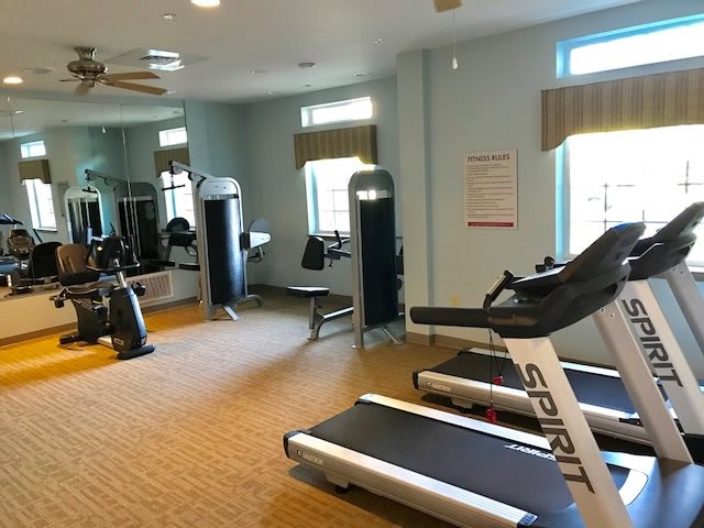 A well-equipped gym with treadmills and other exercise machines.