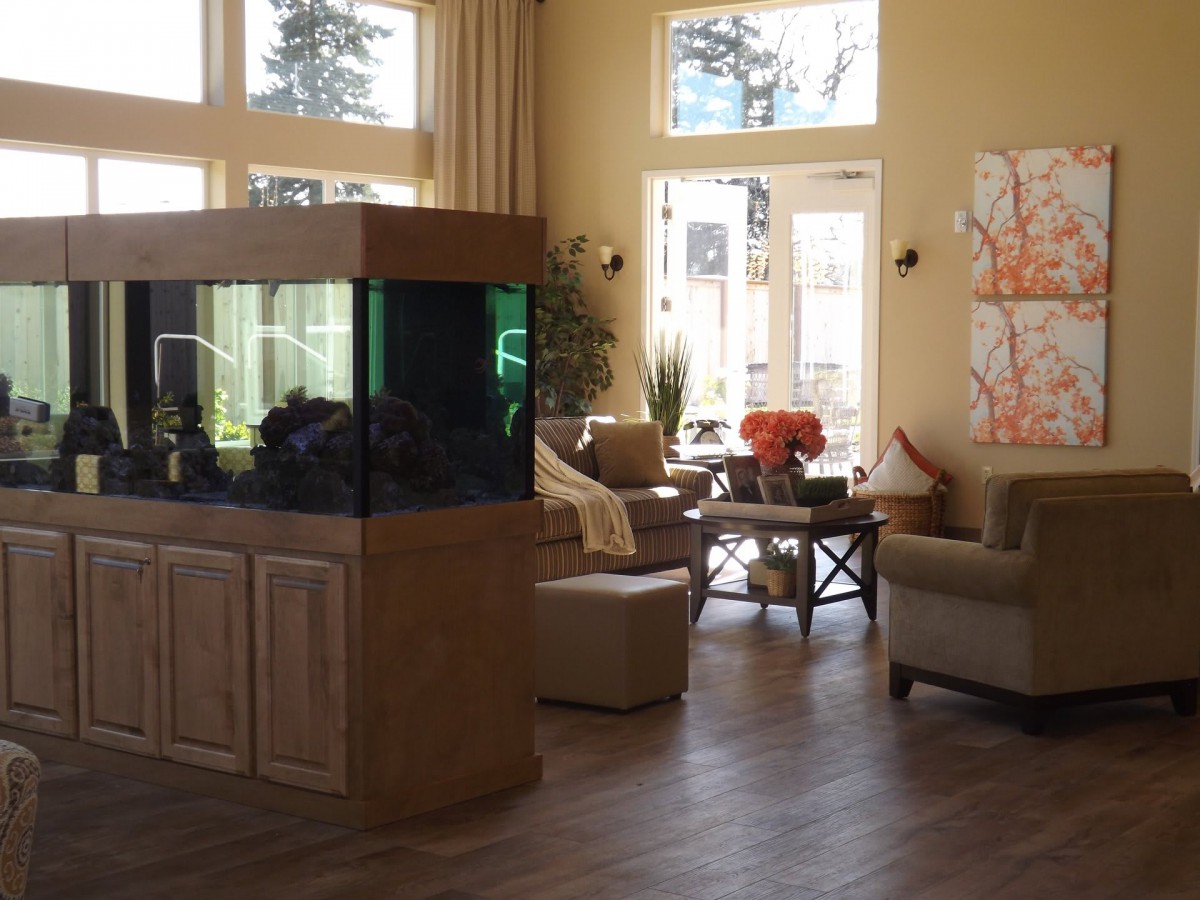 A cozy living room featuring a large aquarium and comfortable seating.