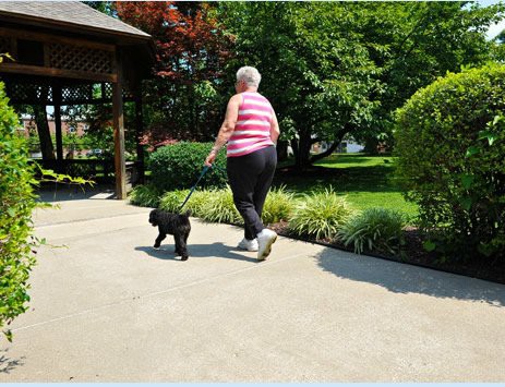 A woman walking a dog in a garden on a sunny day.