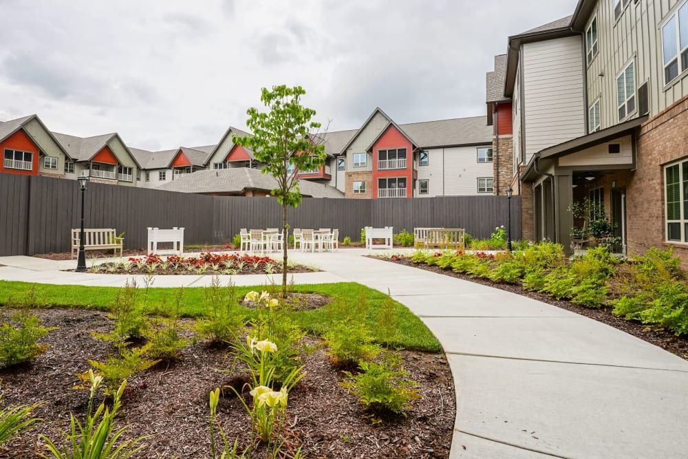 Harmony At Bellevue