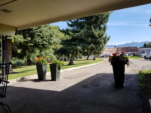 A serene outdoor view showcasing vibrant flower pots along a pathway framed by lush trees and a clear blue sky.