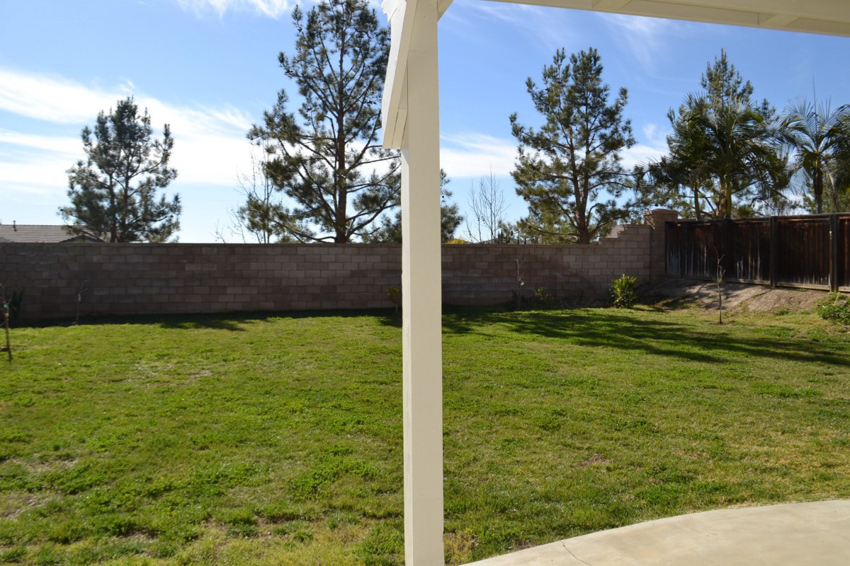 A sunlit backyard with grass, trees, and a stone wall.