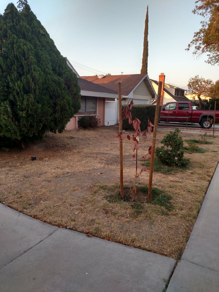 Golden Guest Home