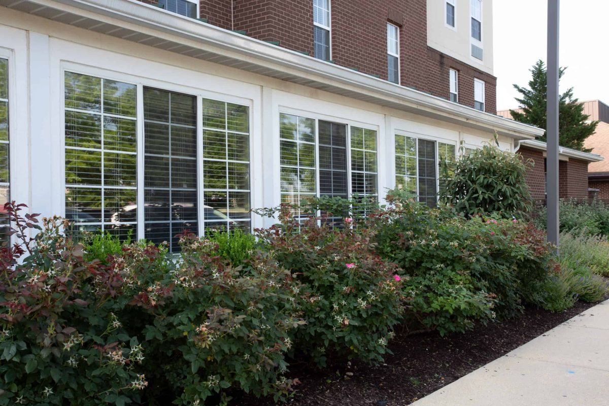 A brick building with large windows and landscaped bushes in front.