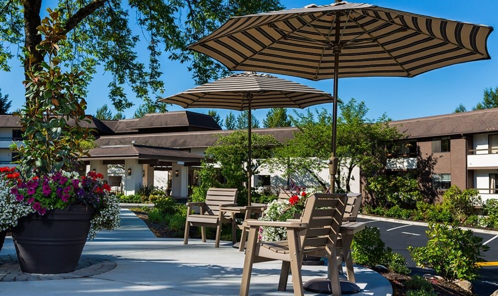 A serene outdoor patio area with chairs and umbrellas surrounded by greenery and flowers.