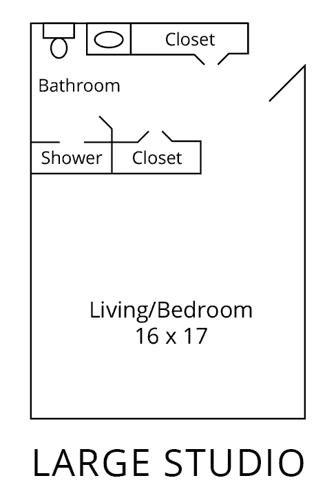 A floor plan of a studio apartment featuring a living/bedroom area, bathroom with shower, and a closet.