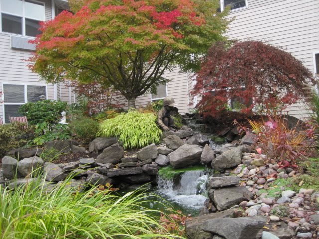 A beautifully landscaped garden featuring a small pond and waterfall, surrounded by rocks and autumn-colored foliage.