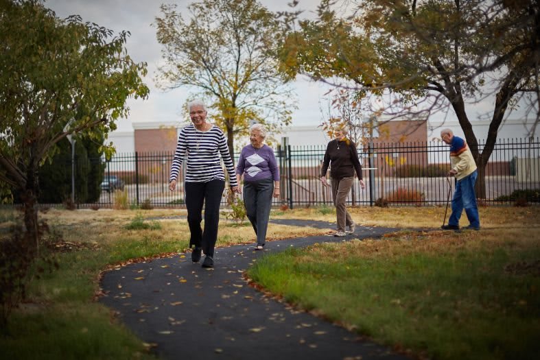 A group of seniors walking on a park pathway surrounded by autumn trees.
