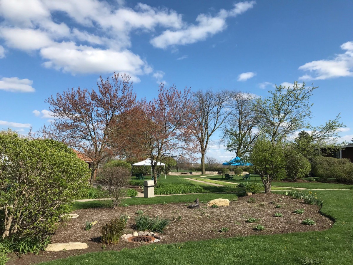A scenic garden landscape with trees under a blue sky with clouds.