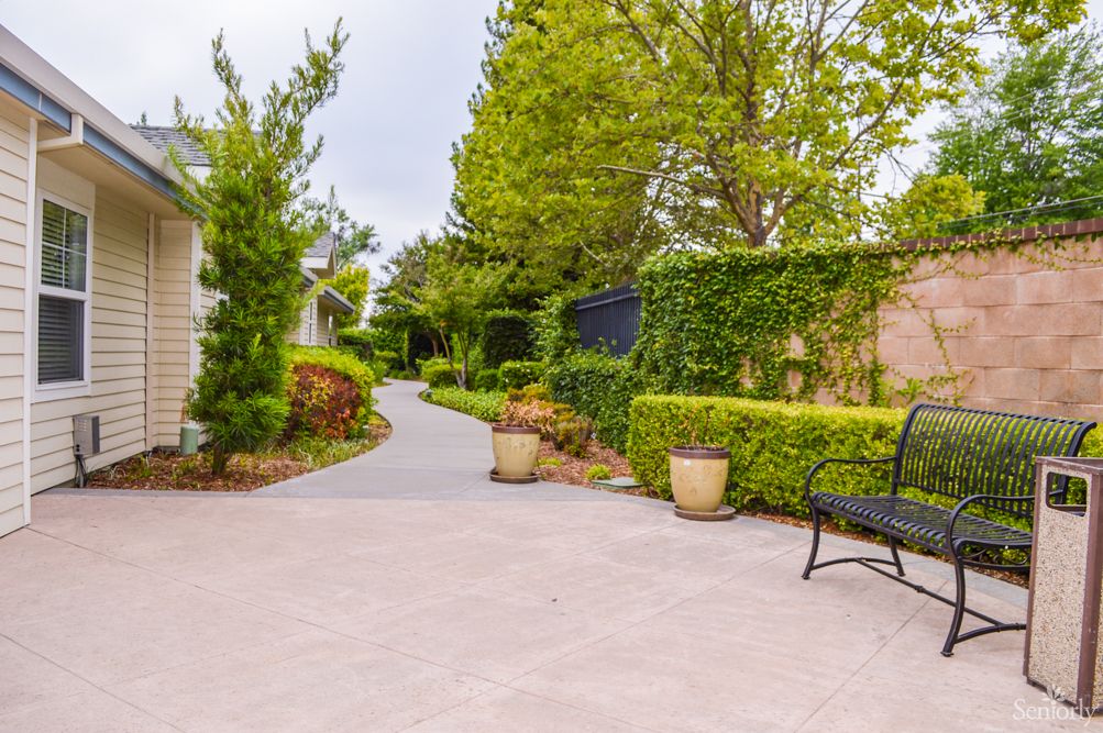 A serene garden pathway lined with lush greenery and a black bench inviting visitors to relax.