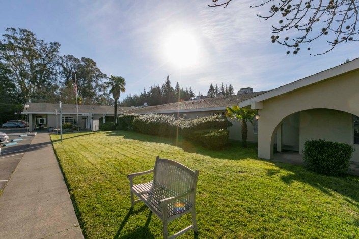 A sunny garden with a wooden bench, well-maintained grass, and surrounding trees in front of a building.