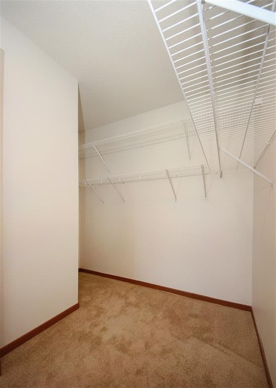 An empty closet with wire shelving and a carpeted floor.