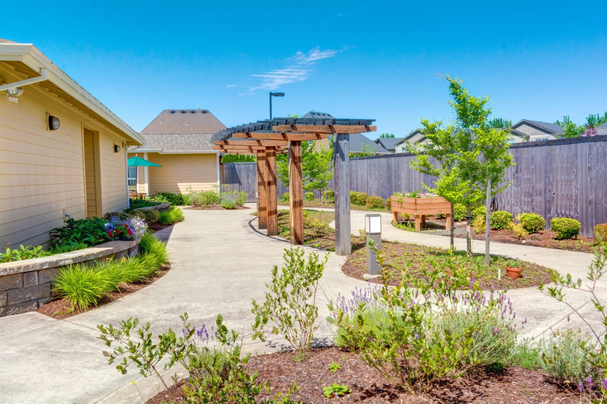 A beautifully landscaped garden with a pathway, wooden pergola, and bench.