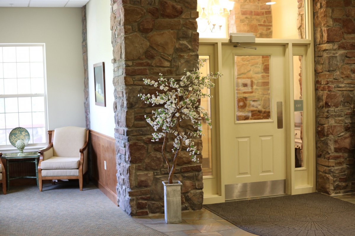 A welcoming entrance area featuring a stone wall and a potted plant.