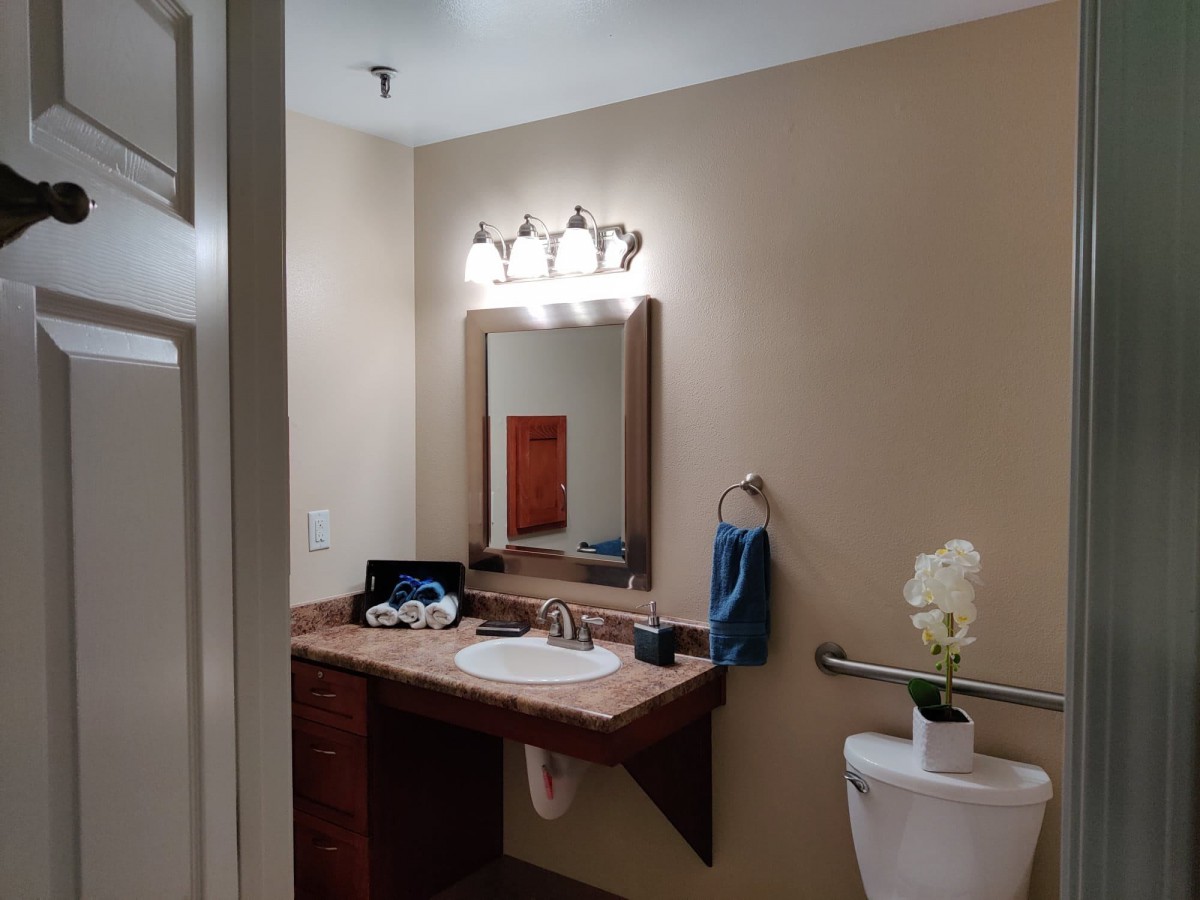 A well-lit bathroom with a mirror above the sink, featuring a towel and decorative plant.