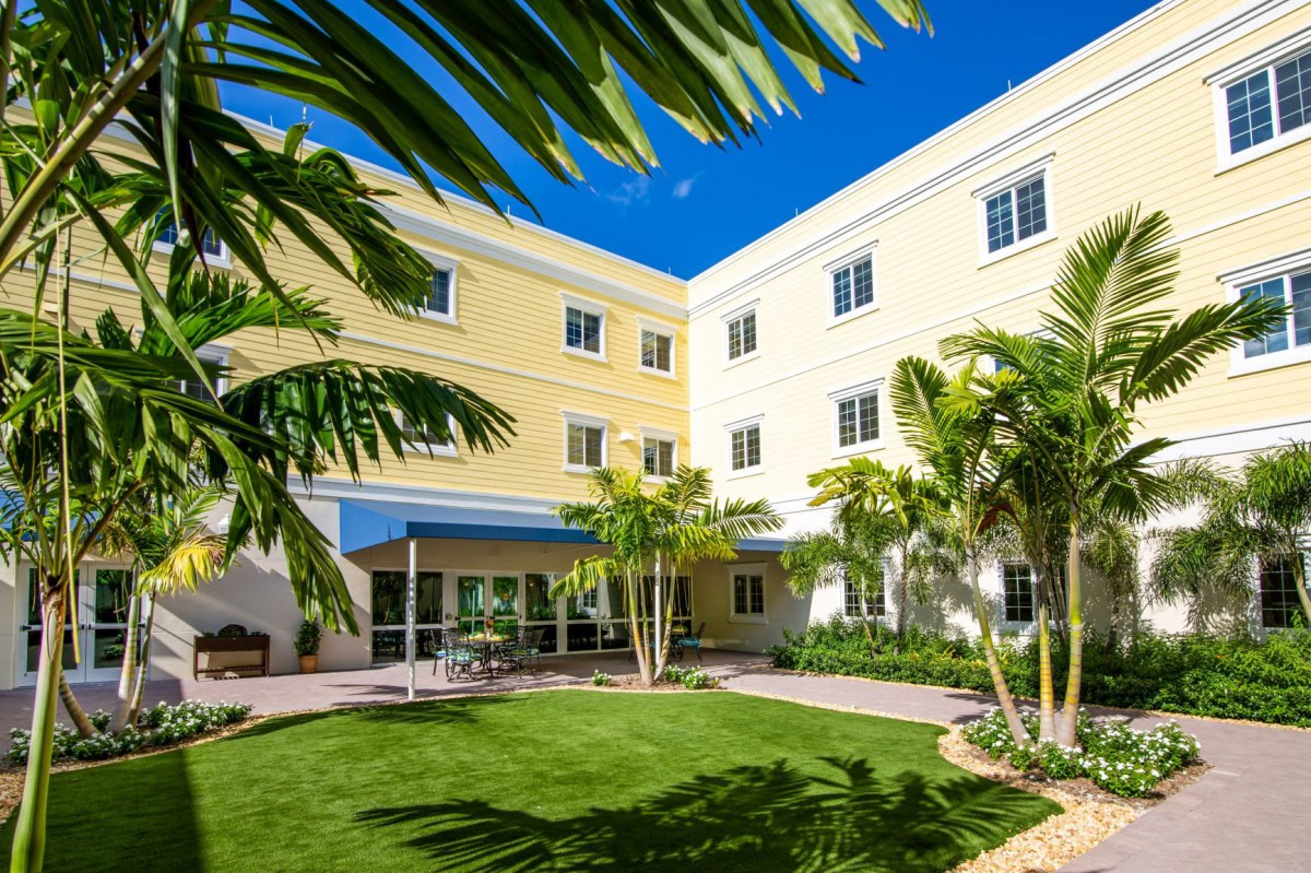 A sunny courtyard with palm trees and a modern building.