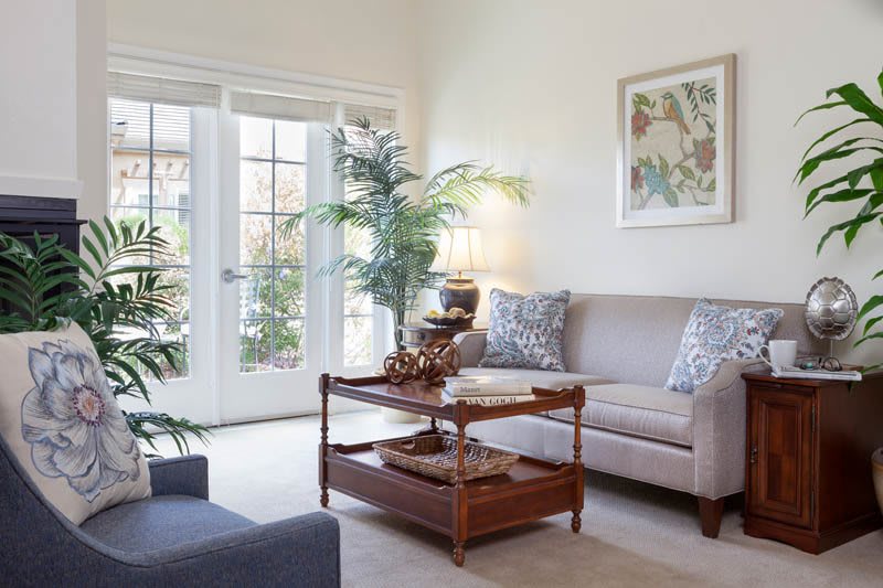 A cozy living room with a modern sofa, wooden coffee table, and decorative plants near large windows.