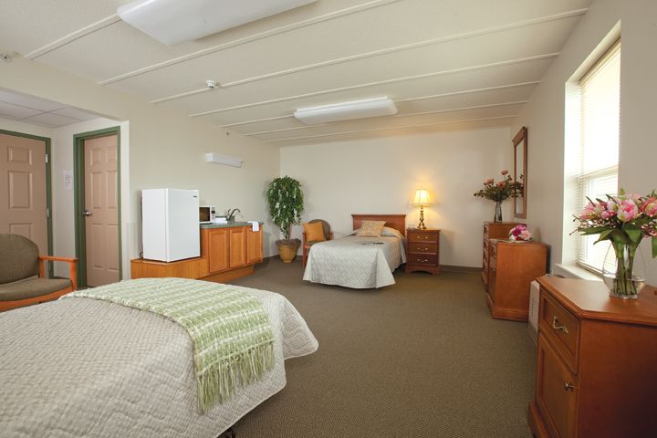 A tidy and cozy bedroom with two beds, a lamp, and a plant.