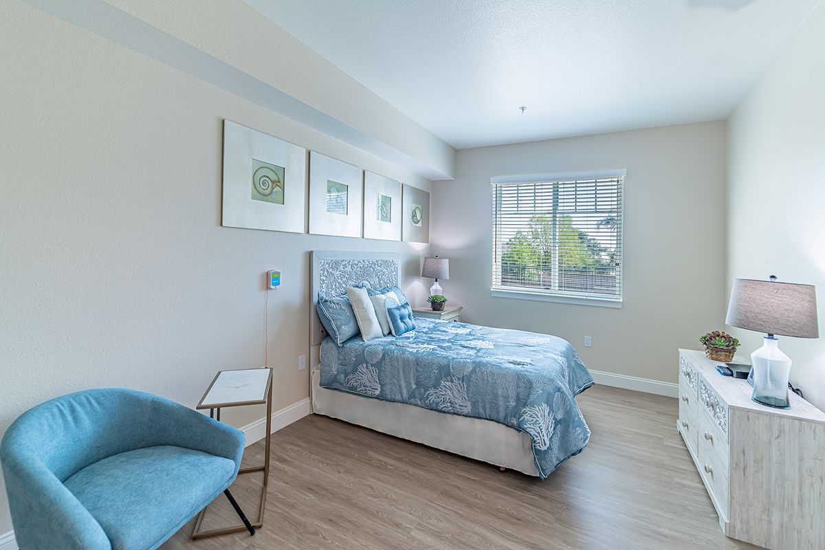 A modern bedroom featuring a double bed with blue bedding, framed art on the walls, and ample natural light from a large window.