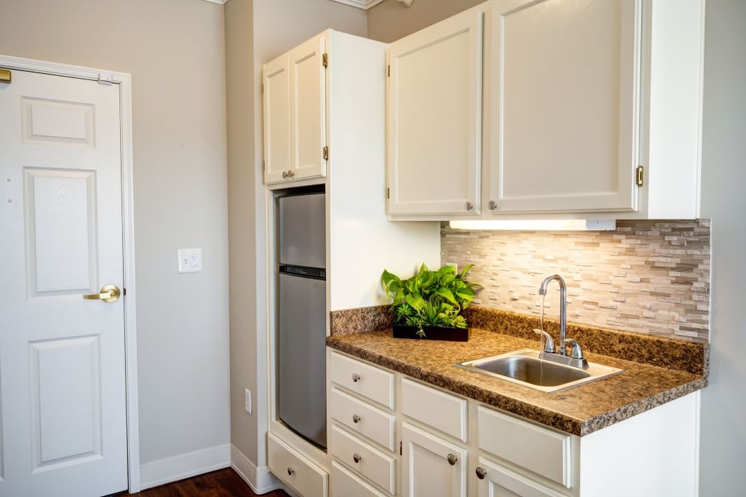 A modern kitchen interior with white cabinets and a small plant on the countertop.