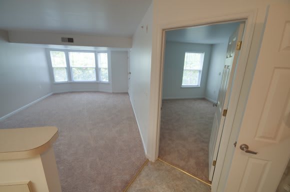 An empty apartment interior with carpeted floors and multiple windows.